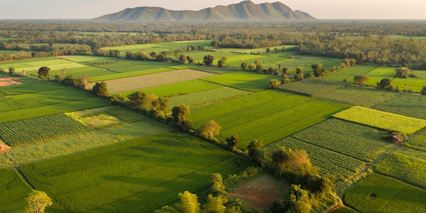 aerial view of patchwork green fields with scattered trees and a distant mountain range on the horizon