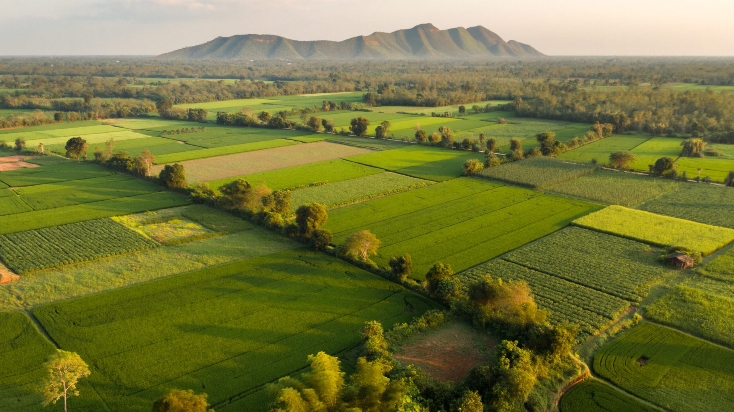 Aerial view of patchwork green fields with scattered trees and a distant mountain range on the horizon.