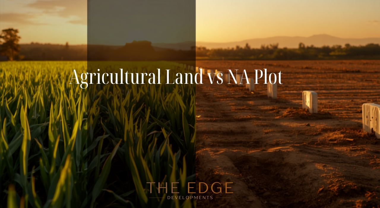 split image of green agricultural farmland versus a demarcated na plot  agricultural land vs na plot maharashtra