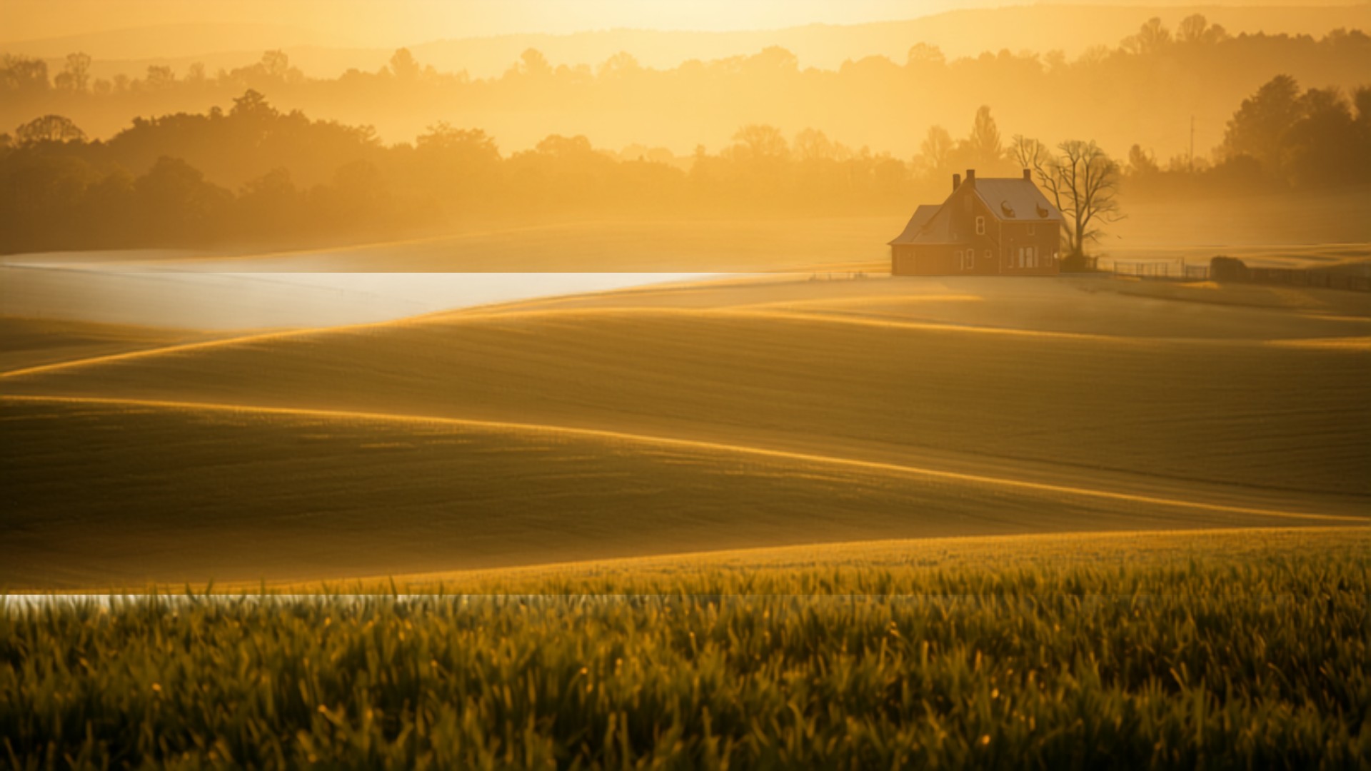 Golden sunrise over fields with a small house beside a reflective pond and distant trees, all bathed in warm light.