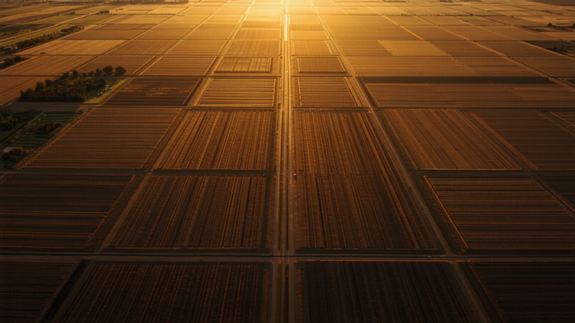 Aerial view of vast solar farms at sunset, with rows of solar panels arranged in a grid across the landscape.