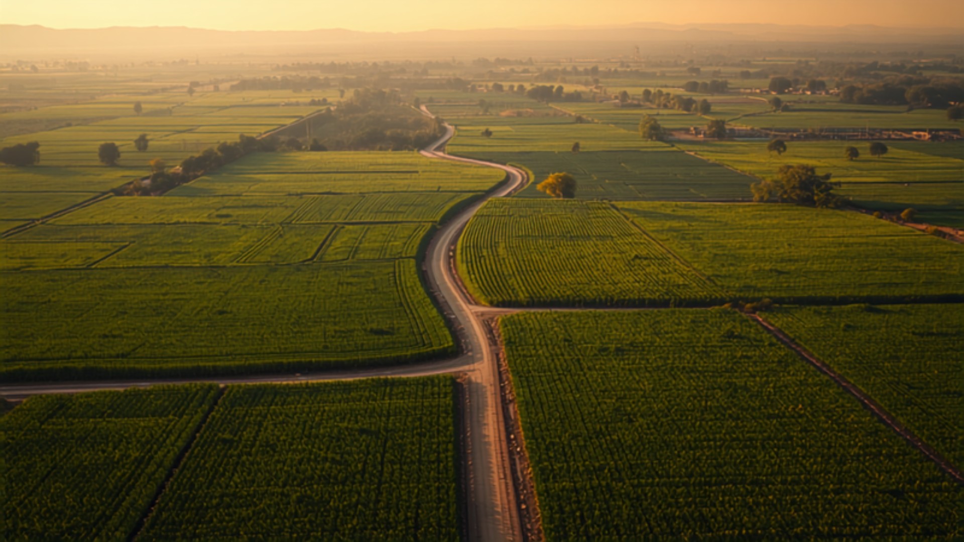 Aerial view of green agricultural land parcels divided by field boundaries in Maharashtra, with a dirt access road and Sahyadri hills in the distance