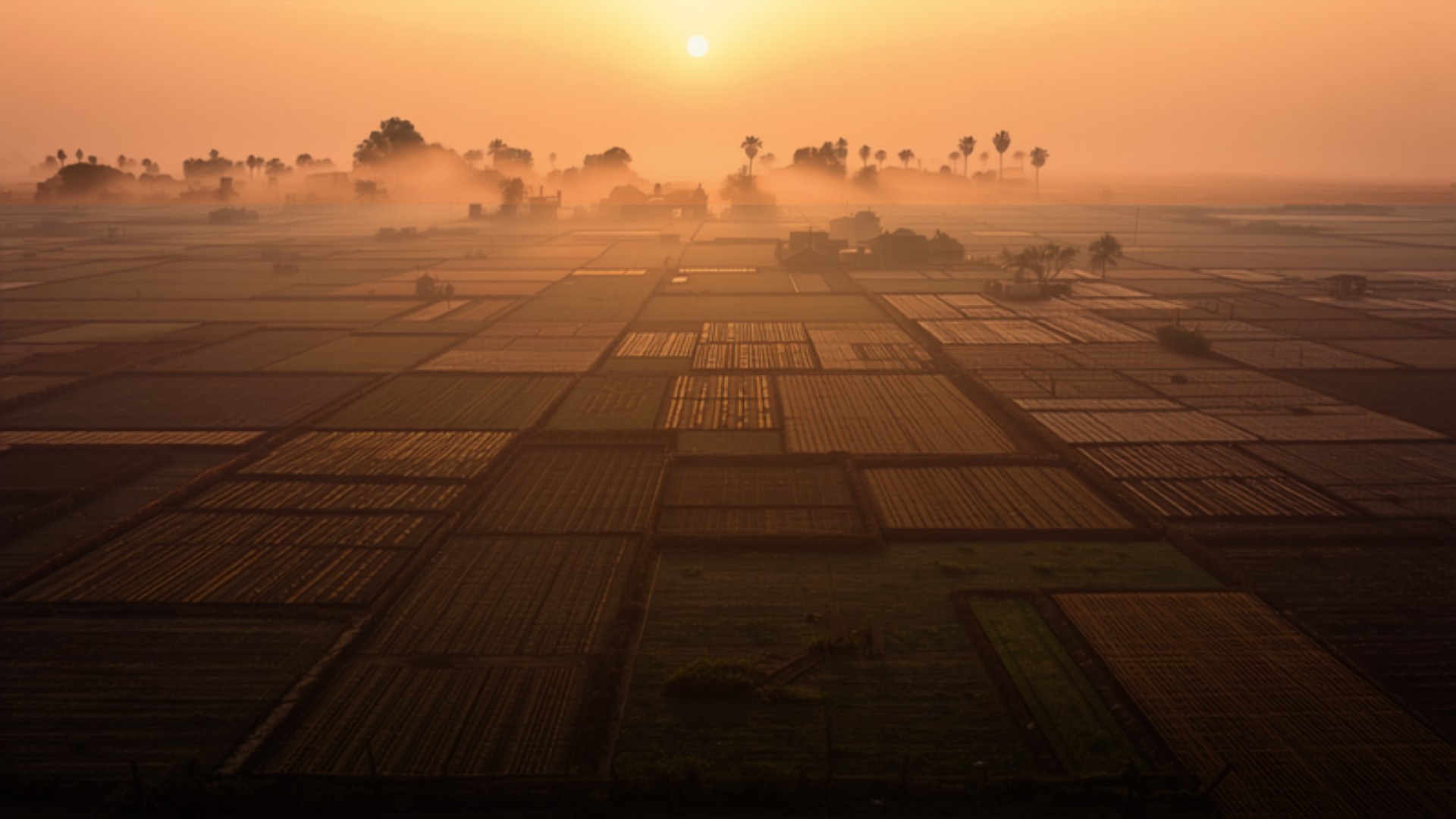 Aerial view of Indian farmland divided into distinct parcels at sunrise