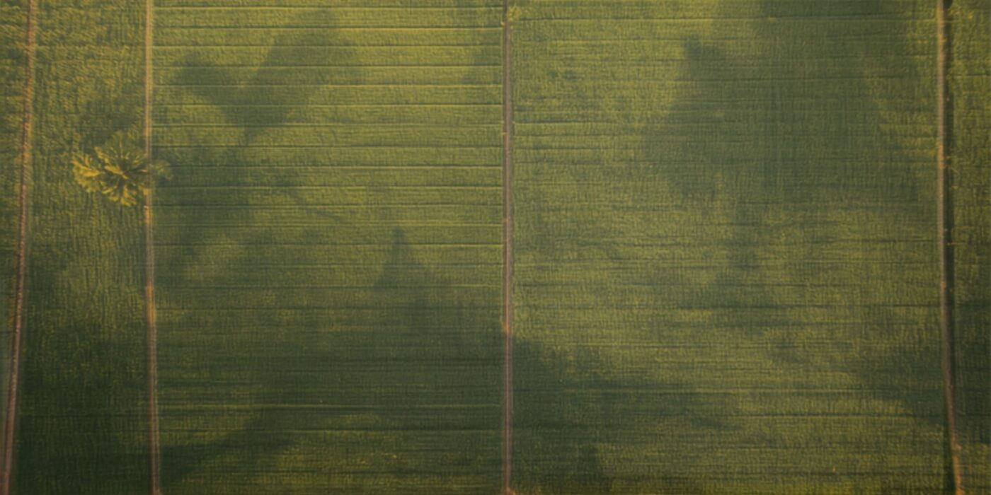 overhead aerial view of a single green agricultural plot with faint bunds and dividing lines running across the field