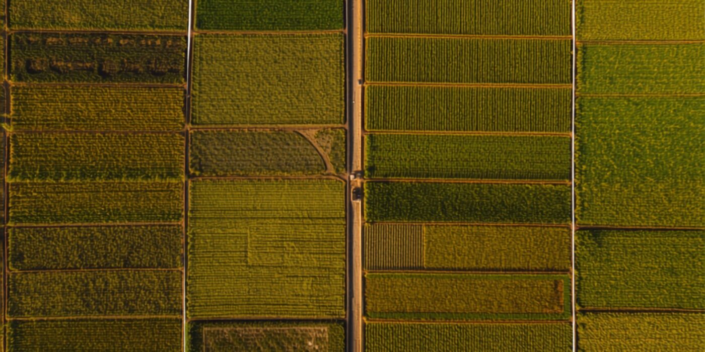 overhead aerial view of rectangular agricultural land parcels of varying sizes separated by earth bunds and a central dirt track green and golden crops in warm afternoon light
