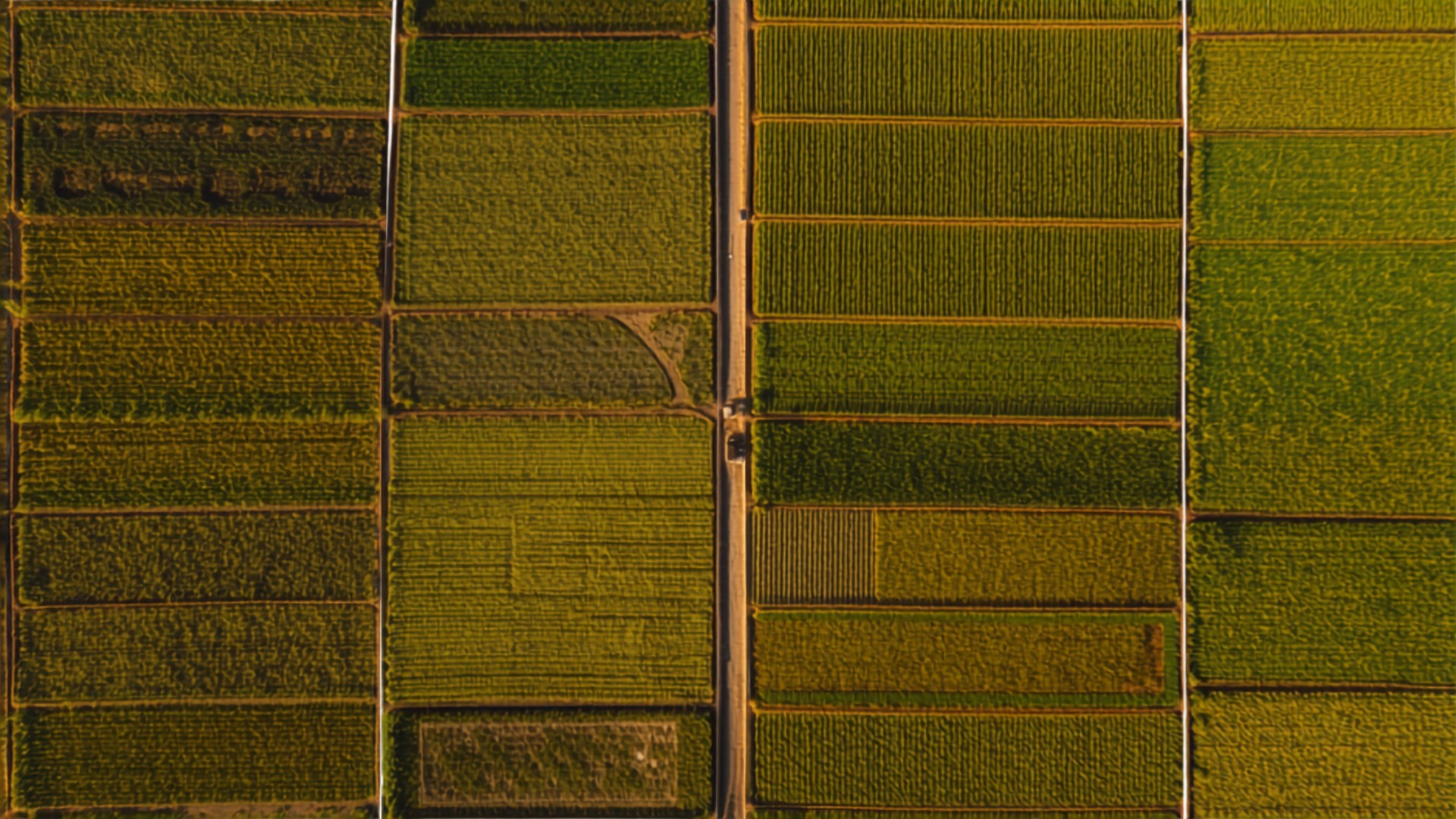 Aerial view of divided agricultural land parcels forming a grid across rural Maharashtra farmland